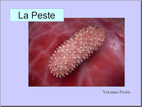  Slide 02 